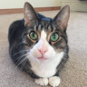 Meet your Posher, Jillian